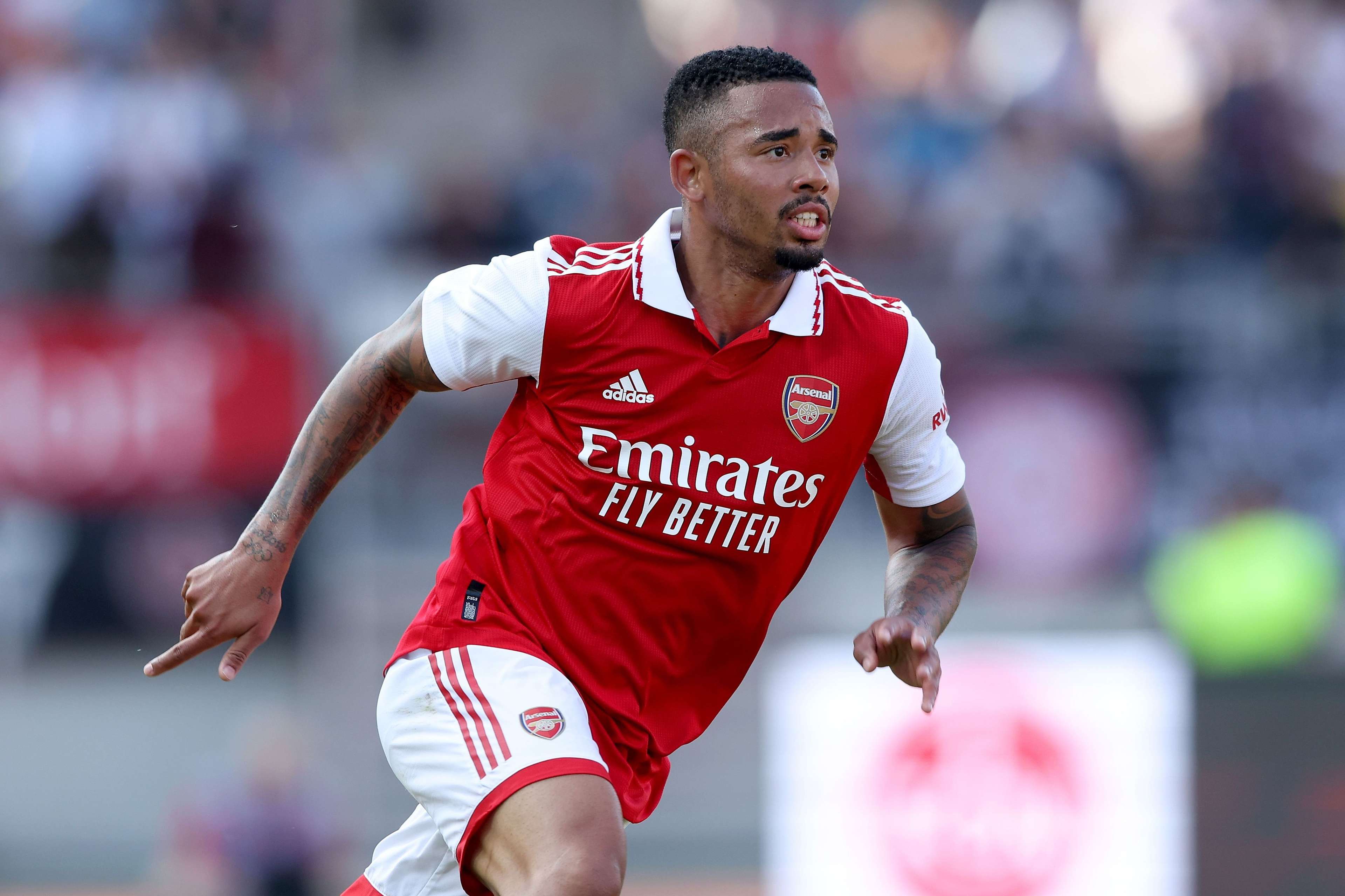 加維身上 加維身上